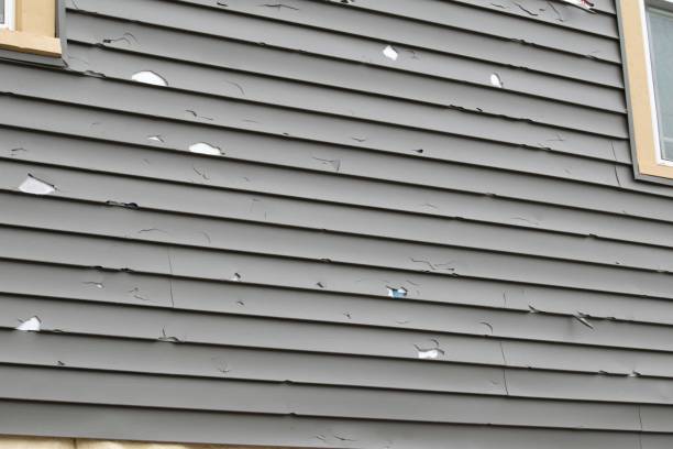 Best Custom Siding Design  in Beverly, OH