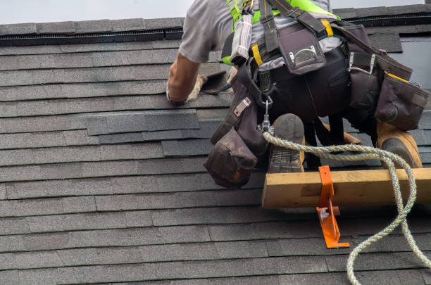 Best Storm Damage Siding Repair  in Beverly, OH