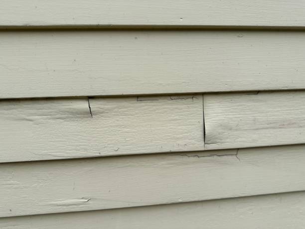 Best Siding Painting and Refinishing  in Beverly, OH